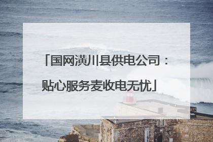 国网潢川县供电公司：贴心服务麦收电无忧