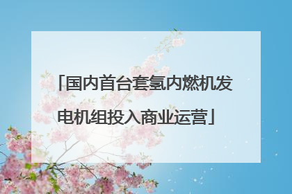 国内首台套氢内燃机发电机组投入商业运营