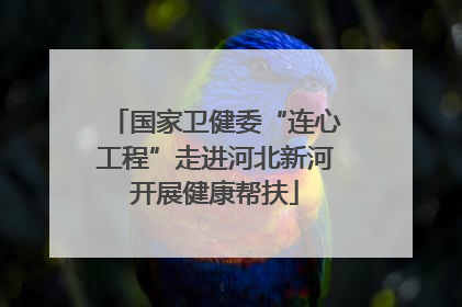 国家卫健委“连心工程”走进河北新河开展健康帮扶