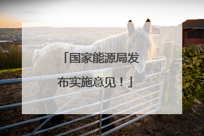 国家能源局发布实施意见！