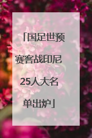 国足世预赛客战印尼25人大名单出炉
