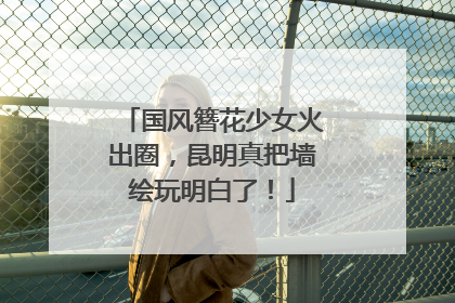 国风簪花少女火出圈，昆明真把墙绘玩明白了！