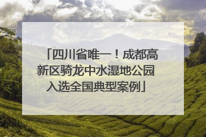 四川省唯一！成都高新区骑龙中水湿地公园入选全国典型案例