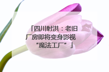 四川射洪：老旧厂房即将变身影视“魔法工厂”