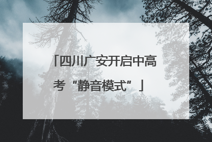 四川广安开启中高考“静音模式”
