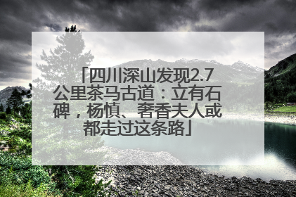 四川深山发现2.7公里茶马古道：立有石碑，杨慎、奢香夫人或都走过这条路