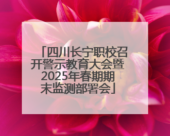 四川长宁职校召开警示教育大会暨2025年春期期末监测部署会
