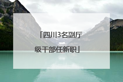 四川3名副厅级干部任新职