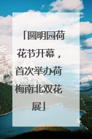 圆明园荷花节开幕，首次举办荷梅南北双花展