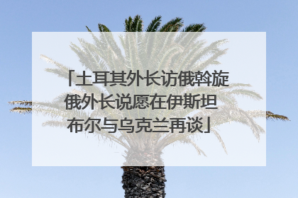土耳其外长访俄斡旋 俄外长说愿在伊斯坦布尔与乌克兰再谈