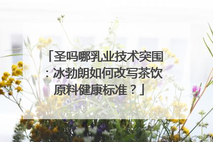 圣吗哪乳业技术突围：冰勃朗如何改写茶饮原料健康标准？