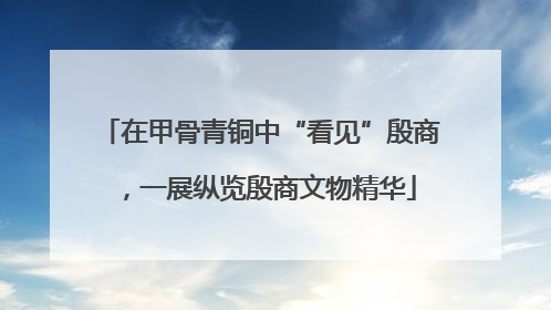 在甲骨青铜中“看见”殷商，一展纵览殷商文物精华