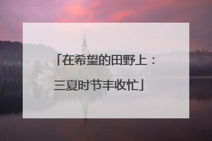 在希望的田野上：三夏时节丰收忙