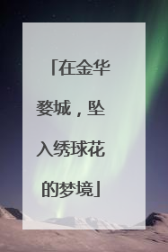 在金华婺城，坠入绣球花的梦境