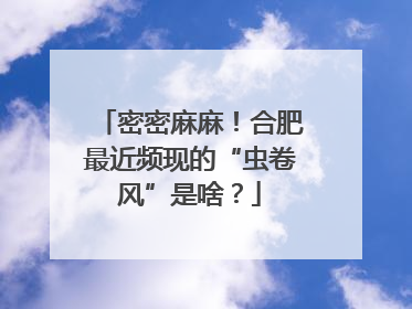 密密麻麻！合肥最近频现的“虫卷风”是啥？