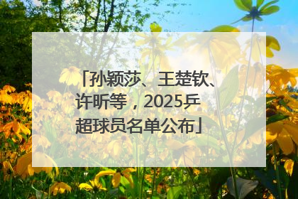 孙颖莎、王楚钦、许昕等，2025乒超球员名单公布