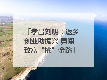 孝昌刘明：返乡创业助振兴 勇闯致富“桃”金路