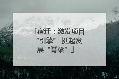 宿迁：激发项目“引擎” 挺起发展“脊梁”