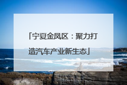 宁夏金凤区：聚力打造汽车产业新生态
