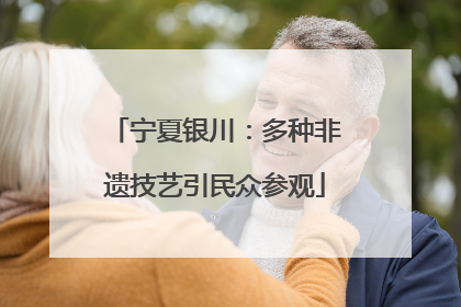 宁夏银川：多种非遗技艺引民众参观