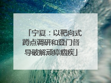 宁夏：以靶向式蹲点调研和登门督导破解顽瘴痼疾