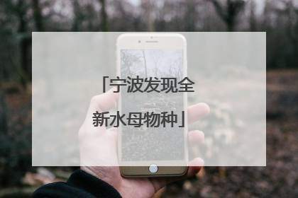 宁波发现全新水母物种