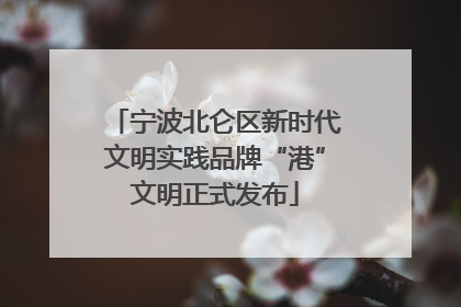 宁波北仑区新时代文明实践品牌“港”文明正式发布