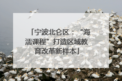 宁波北仑区：“海濡课程”打造区域教育改革新样本