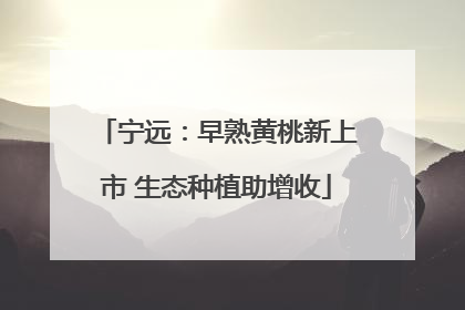 宁远：早熟黄桃新上市 生态种植助增收