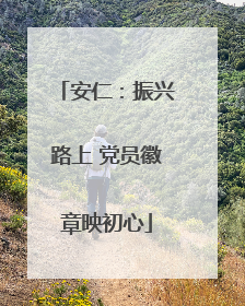 安仁：振兴路上 党员徽章映初心