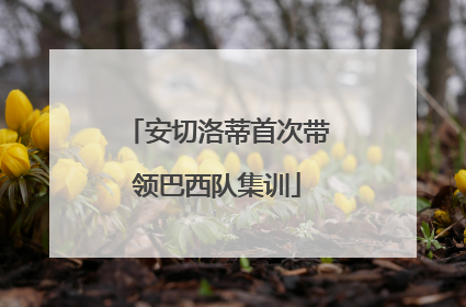 安切洛蒂首次带领巴西队集训