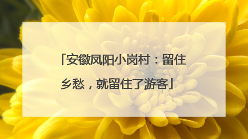 安徽凤阳小岗村：留住乡愁，就留住了游客