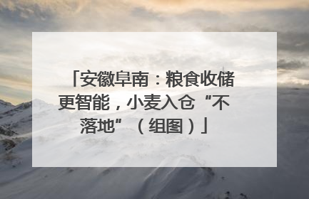 安徽阜南：粮食收储更智能，小麦入仓“不落地”（组图）