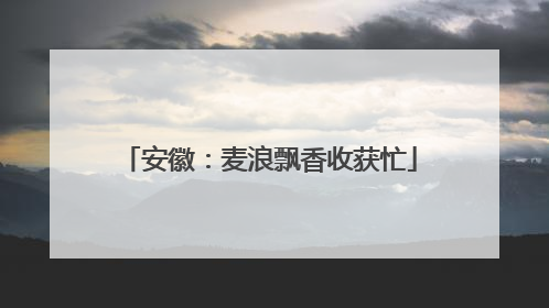 安徽：麦浪飘香收获忙