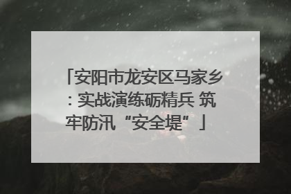安阳市龙安区马家乡：实战演练砺精兵 筑牢防汛“安全堤”