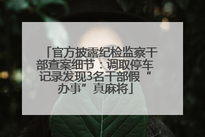 官方披露纪检监察干部查案细节：调取停车记录发现3名干部假“办事”真麻将