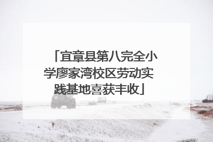 宜章县第八完全小学廖家湾校区劳动实践基地喜获丰收