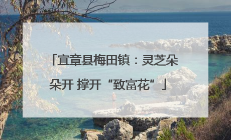 宜章县梅田镇：灵芝朵朵开 撑开“致富花”