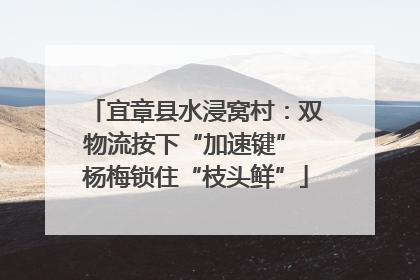 宜章县水浸窝村：双物流按下“加速键” 杨梅锁住“枝头鲜”