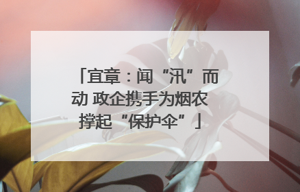 宜章：闻“汛”而动 政企携手为烟农撑起“保护伞”
