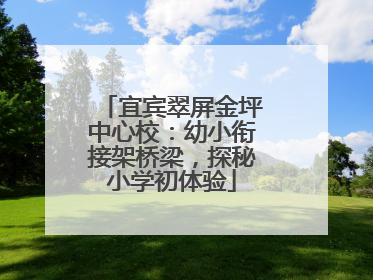 宜宾翠屏金坪中心校：幼小衔接架桥梁，探秘小学初体验