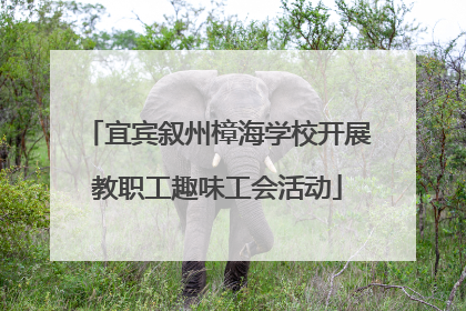 宜宾叙州樟海学校开展教职工趣味工会活动