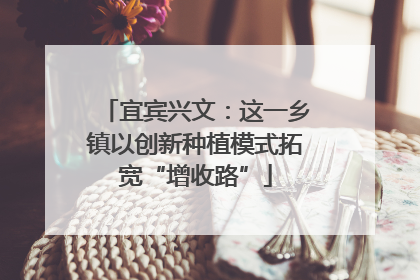 宜宾兴文：这一乡镇以创新种植模式拓宽“增收路”