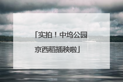 实拍！中坞公园京西稻插秧啦