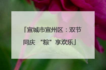 宣城市宣州区：双节同庆 “粽”享欢乐