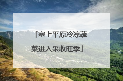 塞上平原冷凉蔬菜进入采收旺季