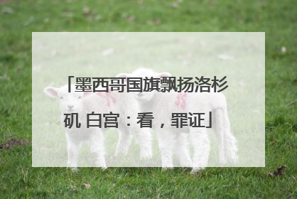 墨西哥国旗飘扬洛杉矶 白宫：看，罪证