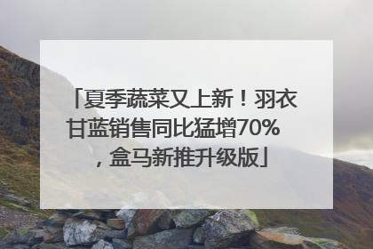 夏季蔬菜又上新！羽衣甘蓝销售同比猛增70%，盒马新推升级版