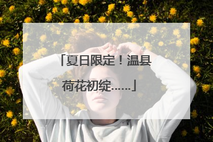 夏日限定！温县荷花初绽……