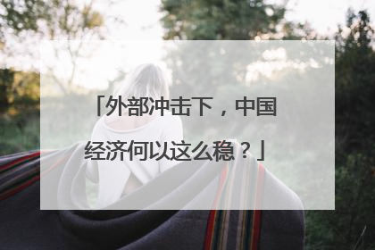 外部冲击下，中国经济何以这么稳？